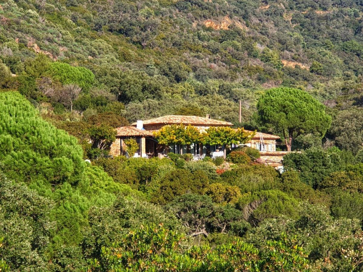 Hotel Massacan-Vue Mer à Le Lavandou Extérieur photo