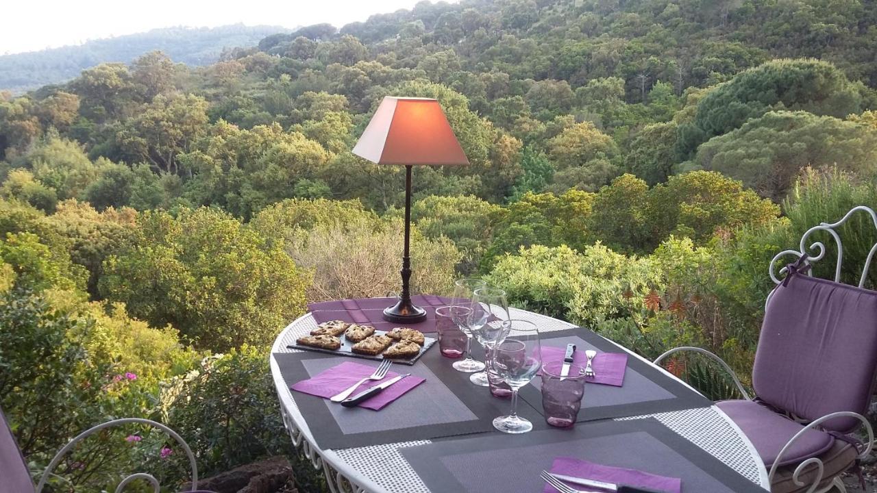 Hotel Massacan-Vue Mer à Le Lavandou Extérieur photo