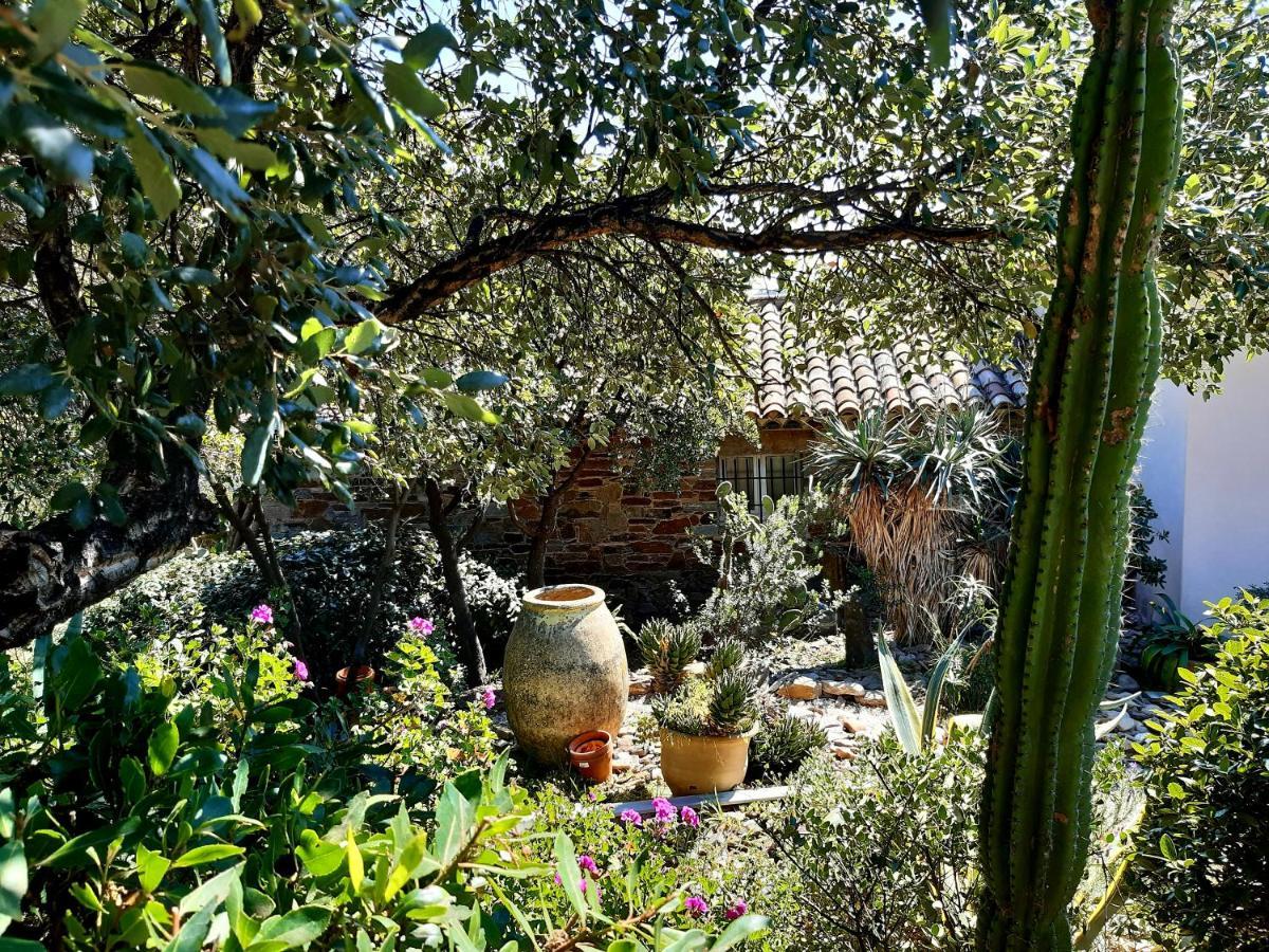 Hotel Massacan-Vue Mer à Le Lavandou Extérieur photo