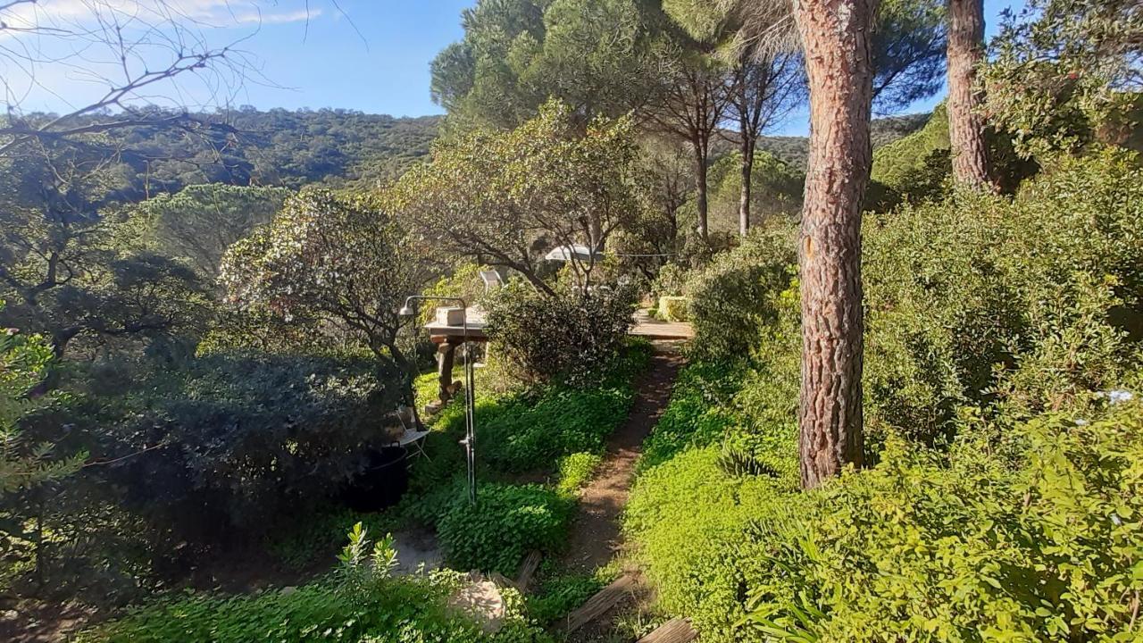 Hotel Massacan-Vue Mer à Le Lavandou Extérieur photo