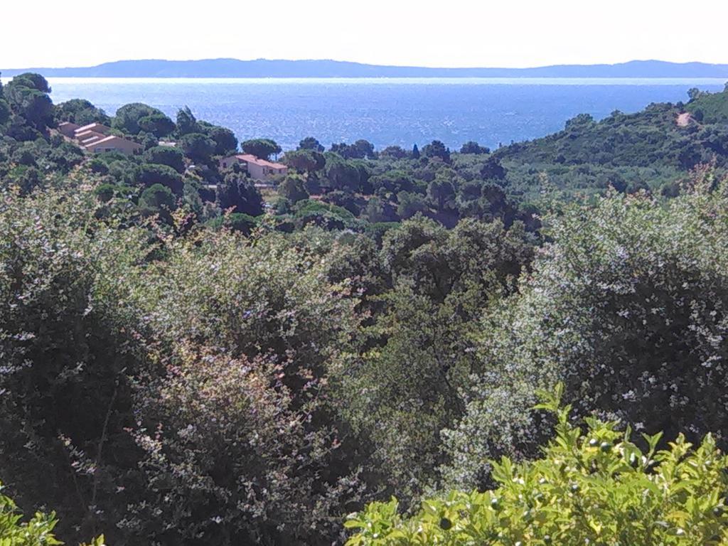 Hotel Massacan-Vue Mer à Le Lavandou Chambre photo