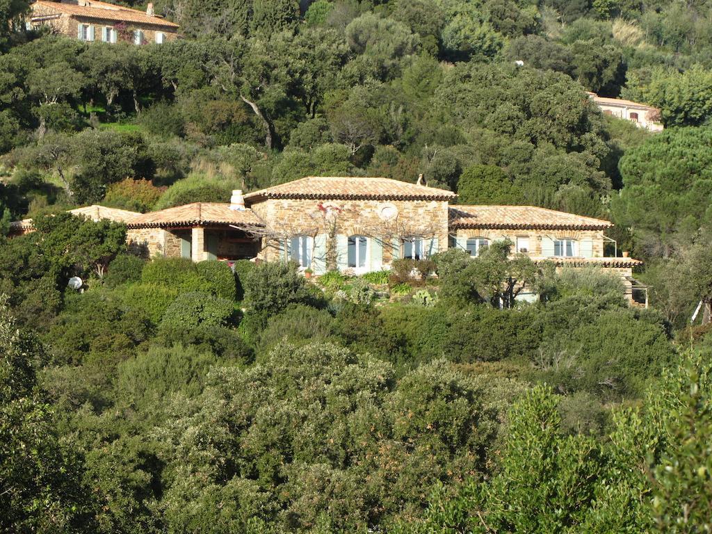 Hotel Massacan-Vue Mer à Le Lavandou Extérieur photo