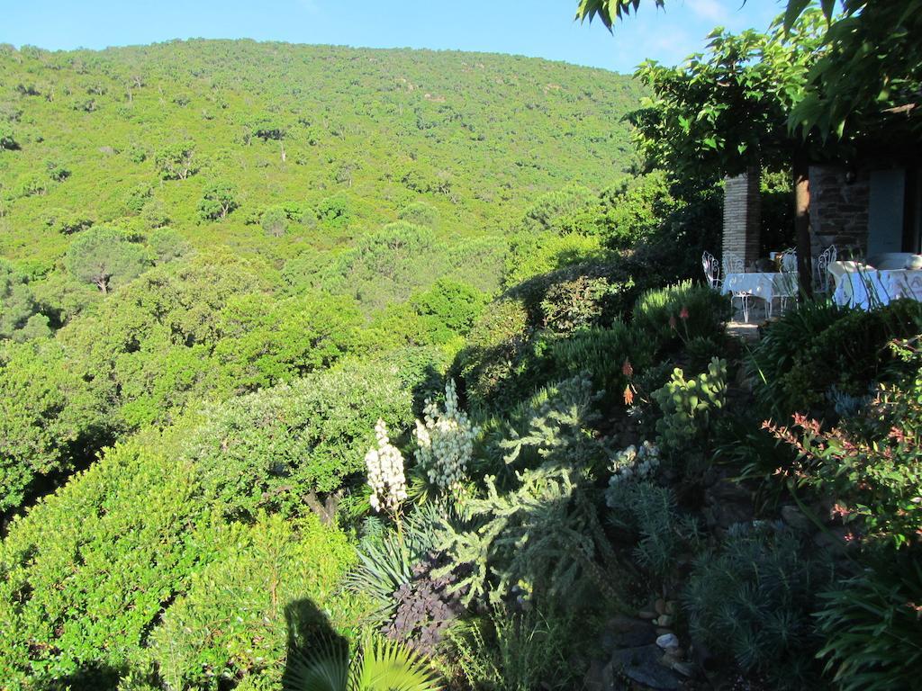 Hotel Massacan-Vue Mer à Le Lavandou Extérieur photo