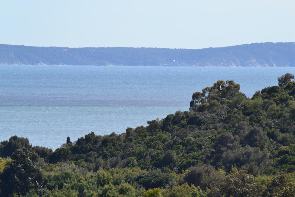 Hotel Massacan-Vue Mer à Le Lavandou Extérieur photo