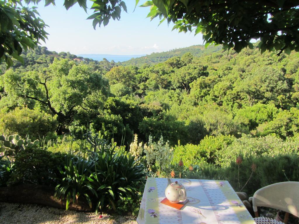 Hotel Massacan-Vue Mer à Le Lavandou Extérieur photo