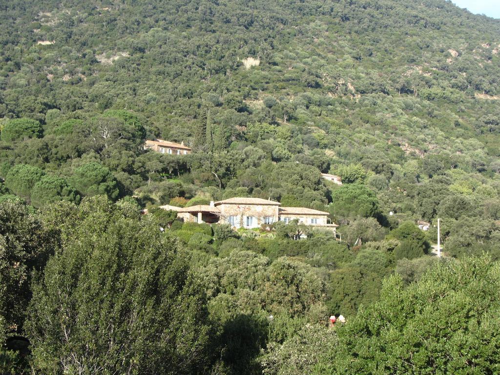 Hotel Massacan-Vue Mer à Le Lavandou Extérieur photo