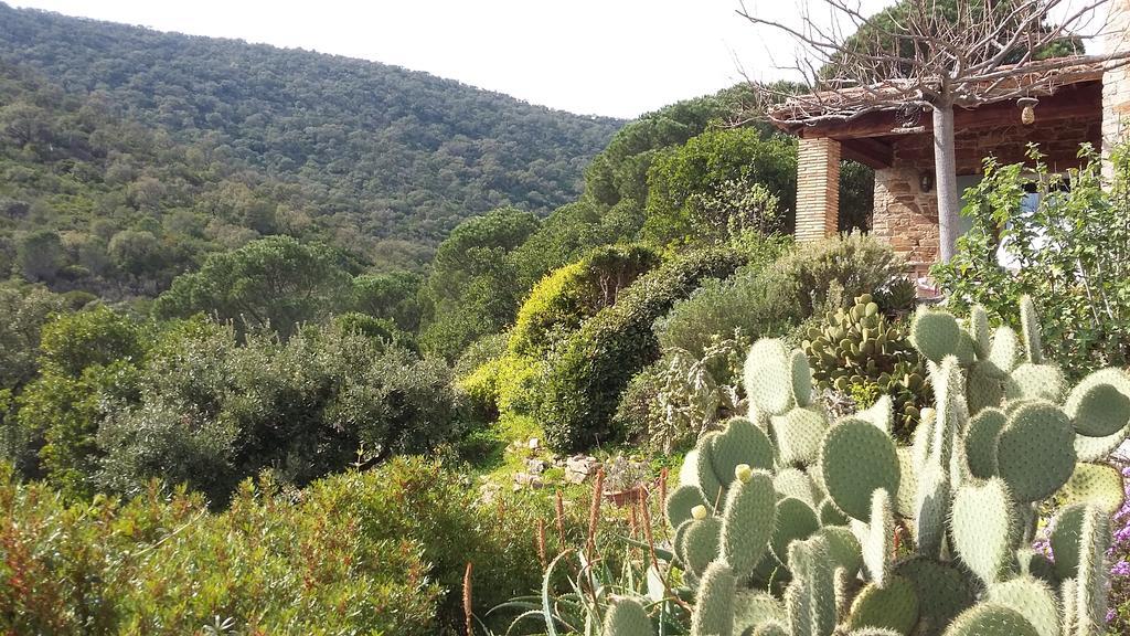 Hotel Massacan-Vue Mer à Le Lavandou Extérieur photo