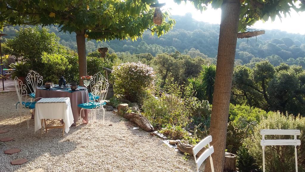 Hotel Massacan-Vue Mer à Le Lavandou Chambre photo