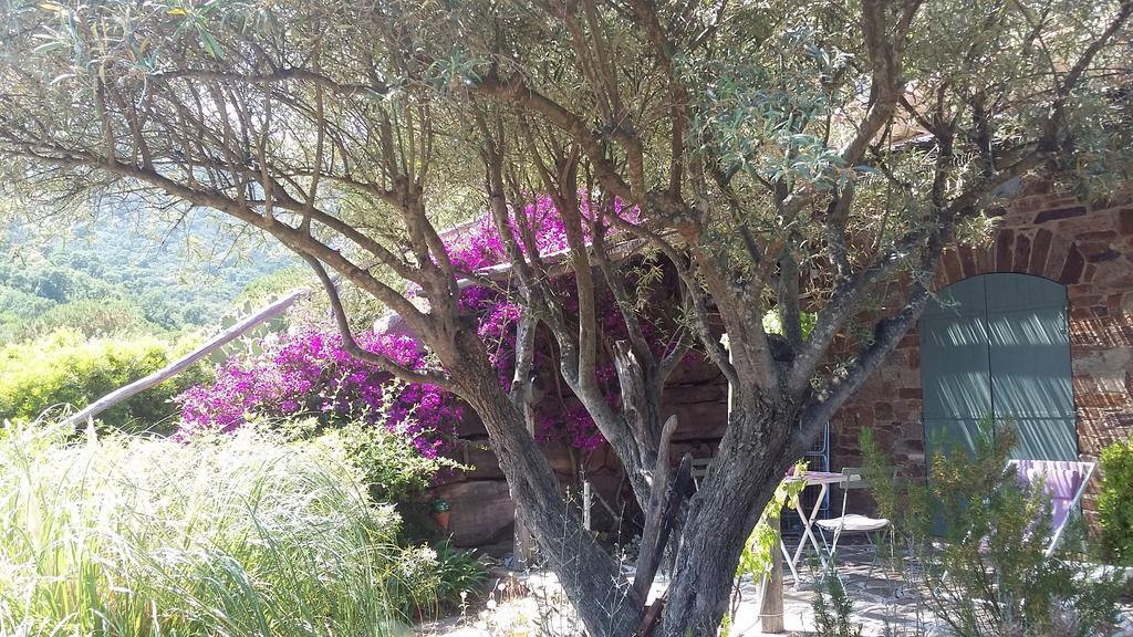 Hotel Massacan-Vue Mer à Le Lavandou Chambre photo