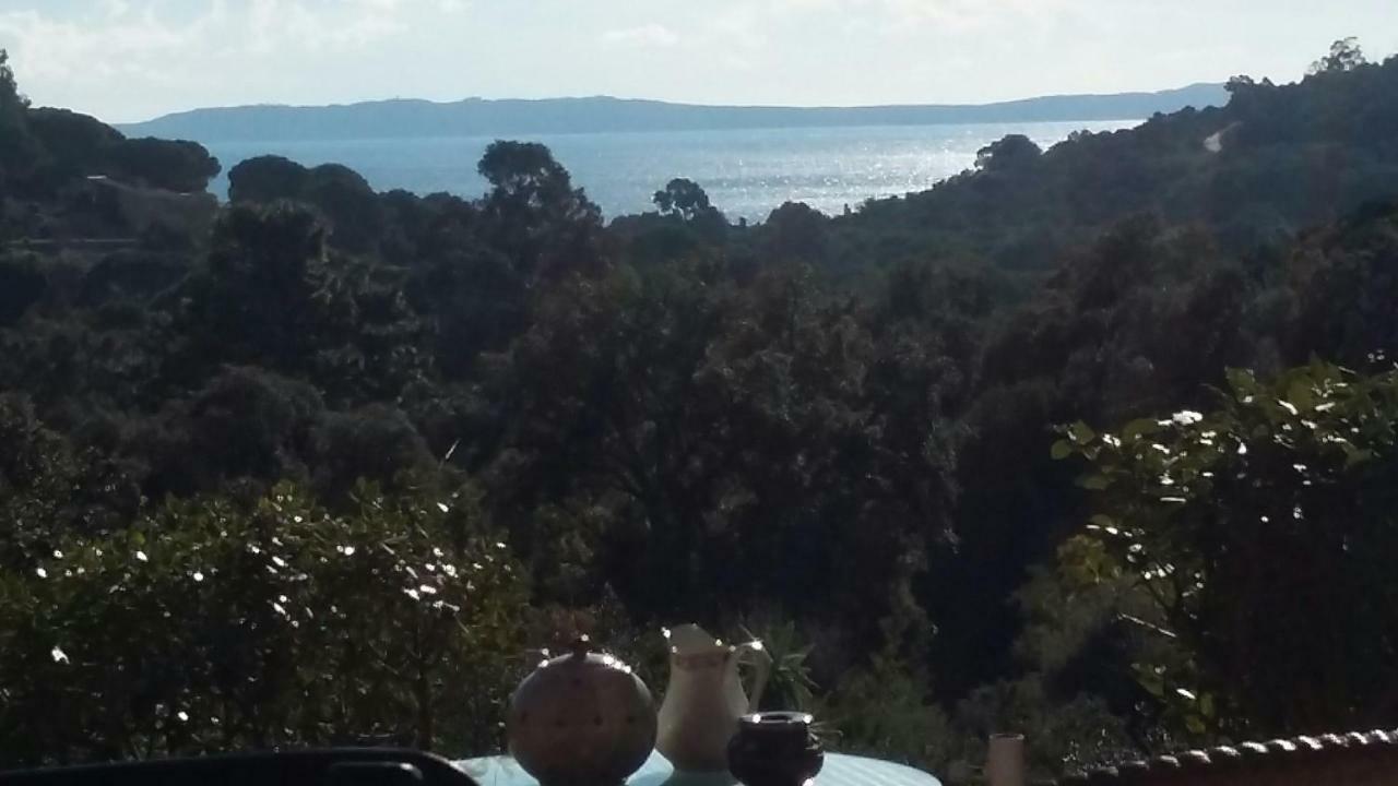 Hotel Massacan-Vue Mer à Le Lavandou Extérieur photo