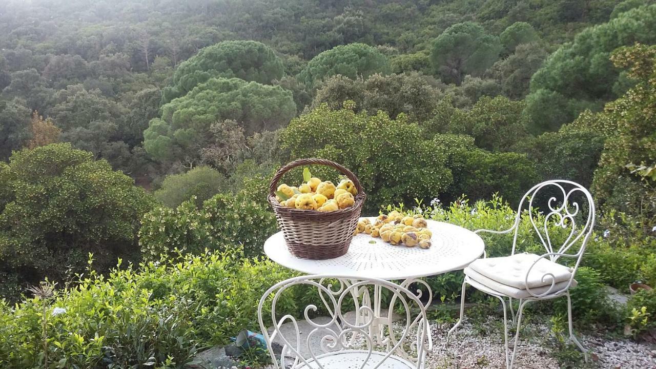 Hotel Massacan-Vue Mer à Le Lavandou Extérieur photo