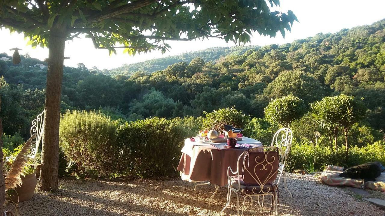 Hotel Massacan-Vue Mer à Le Lavandou Extérieur photo