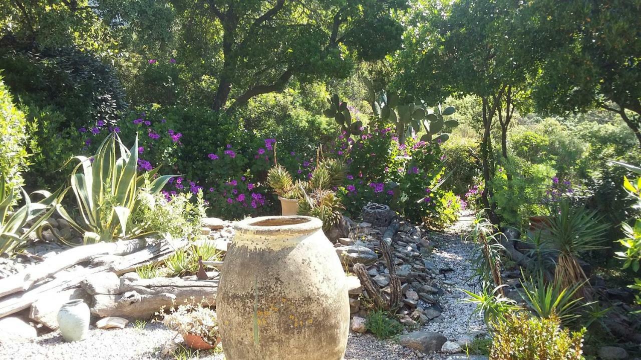 Hotel Massacan-Vue Mer à Le Lavandou Extérieur photo