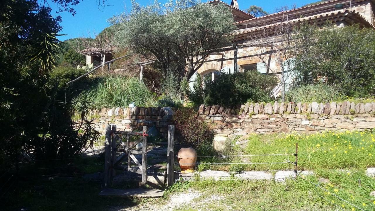 Hotel Massacan-Vue Mer à Le Lavandou Extérieur photo