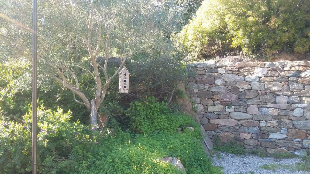 Hotel Massacan-Vue Mer à Le Lavandou Extérieur photo